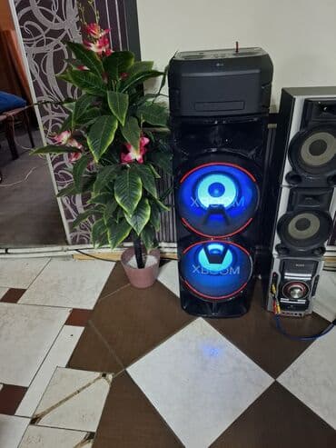 чехол ipad 2: İşlənmiş Audio Pro Kolonka, Növ - Akustik, rəng - Qara — 2