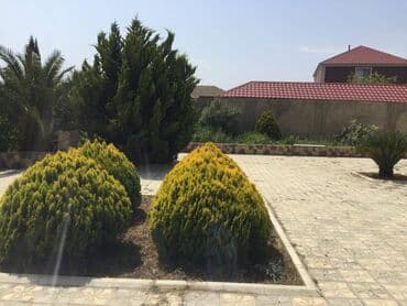 zaqulbada kiraye bag evleri: 270 kv. m, 6 otaqlı, Hovuzlu, Qaz, Su — 16