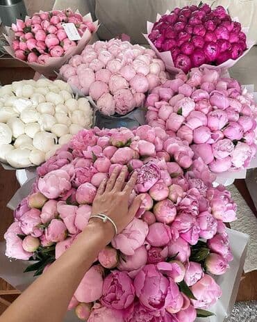 SMM menecer tələb olunur, İstənilən yaş, Təcrübəsiz