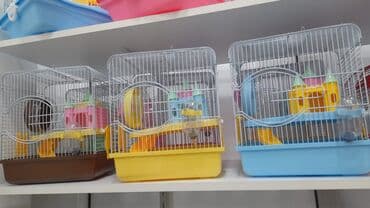 iran qefesi: Xamyak qəfəsi . təzədir — 1