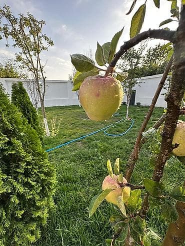 hezi aslanovda kiraye ev: 200 kv. m, 4 otaqlı, Hovuzsuz — 9