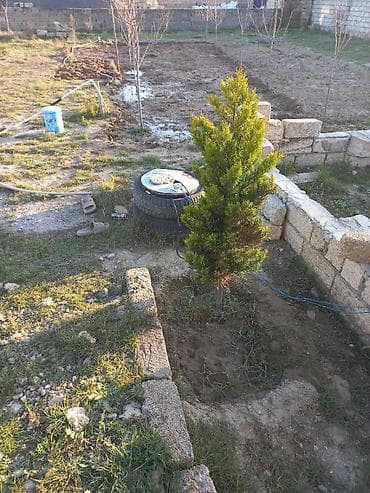 10 sot, Tikinti, Mülkiyyətçi, Bələdiyyə lalafo.az -da 10 sot, Tikinti, Mülkiyyətçi, Bələdiyyə