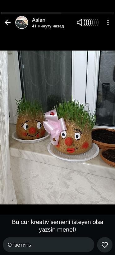 güldan: Fiqur, rəng - Qəhvəyi — 2