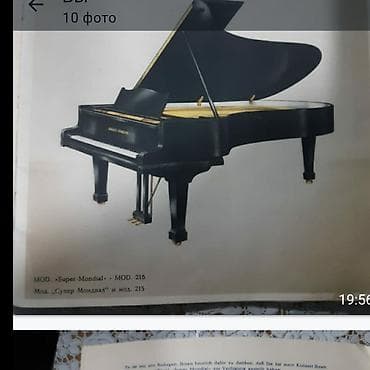 Röyal Agust-Fhoster satilir — 6