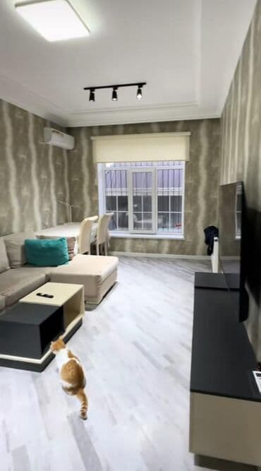 xacmaz kiraye ev: 5 otaqlı, 112 kv. m, Yeni təmirli — 6