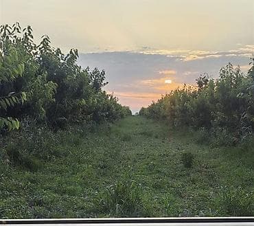 Земельные участки: 270 соток, Для сельского хозяйства, Собственник, Купчая — 6