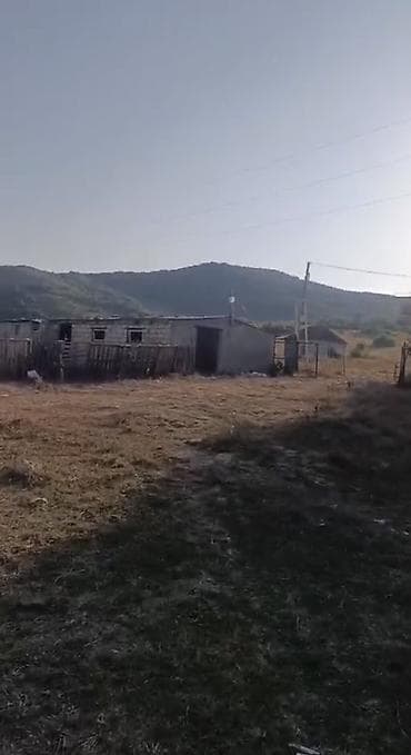 Torpaq sahələrinin satışı: 392 sot, Kənd təsərrüfatı, Kupça (Çıxarış) — 2