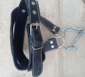 кий для бильярда цены бишкек: Jqut desti 10azn boyun mesqi ucun alet 10azn ikiside teze kimidi az — 2