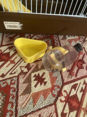 it evi satilir: Xomyak üçün komplekt qəfəs - Material: möhkəm metal barmaqlıqlar — 2