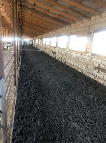 sekide: 100 sot, Kənd təsərrüfatı, Barter mümkündür, Kupça (Çıxarış) — 5
