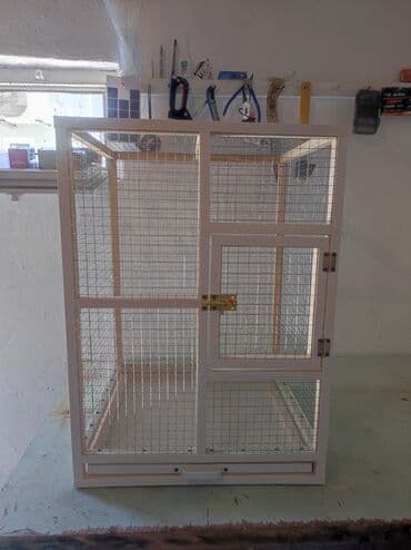 bildirçin yuvası: Papuqay,dovşan,hamster,şinşila,bildirçin,cücə,xamyak,pişik,quş,tısbağa — 3