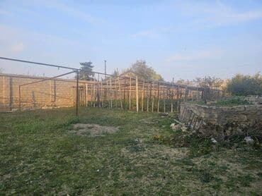 Qarajlar: 6 sot — 1