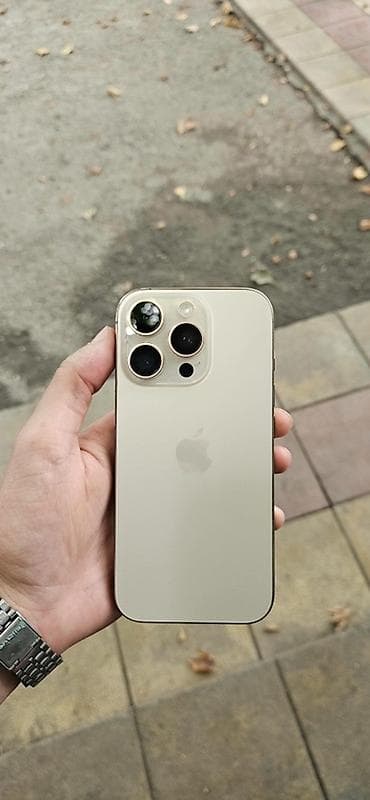 чехол ipad 4: IPhone 16 Pro, 128 ГБ, Золотой, Face ID — 1