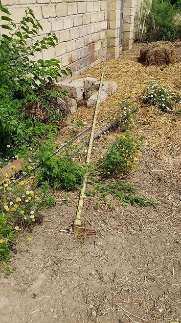 Ticarət tərəziləri: 700satilir hamisi kom — 6