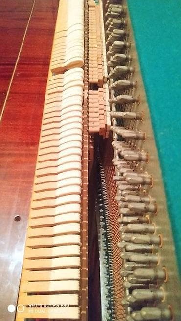 Qarmonlar: Tecili satilir Sumqayitda — 9