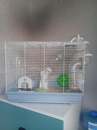 Hamster üçün tam avadanlıqla qəfəs dəsti Məhsulun tərkibi: - Metal — 6