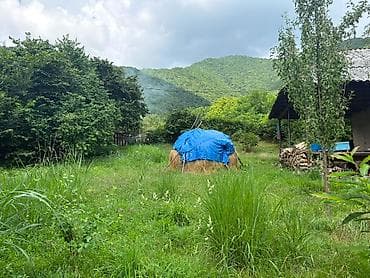 şeki: 37 sot, Biznes üçün, Mülkiyyətçi, Müqavilə — 6