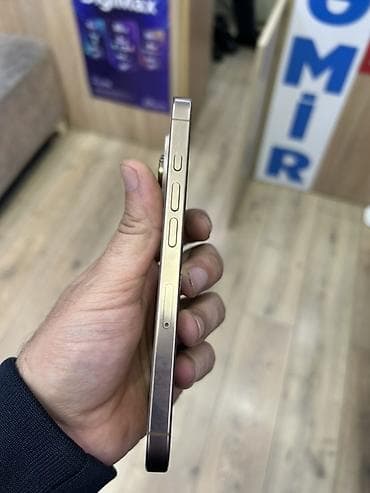 iphone 3gs: IPhone 16 Pro, 128 GB, Desert Titanium, Face ID — 4