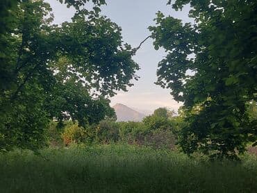 участок в деревне: 30 соток, Для сельского хозяйства — 6