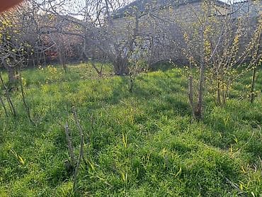 sedmoyda kiraye evler: Для строительства — 4