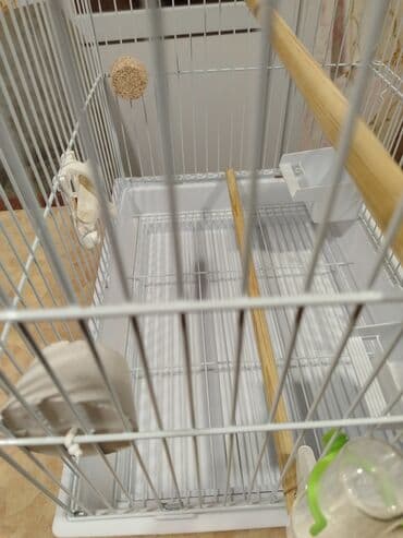 qəfəsi: Quş qəfəsi – geniş və funksional model - Rəng: ağ metal karkas, ağ — 4