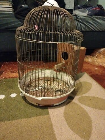 Quş qəfəsləri dəsti 1) Dairəvi metal qəfəs - Günbəz formalı, asmaq
