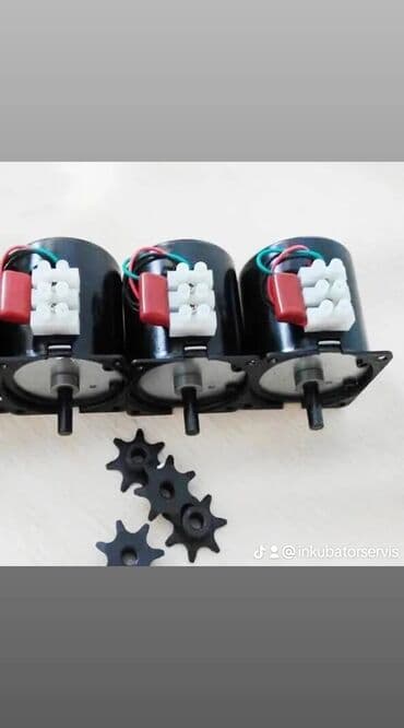 paltaryuyan temiri: Her nov inkubatorlarin temiri alisi satisi ehtiyyat hisselerinin — 10