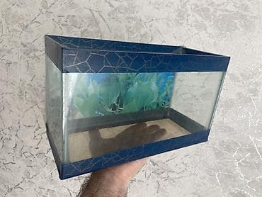 Akvariumlar: Dördbucaq akvarium, Boş, 6 l, Ünvandan götürmə — 1