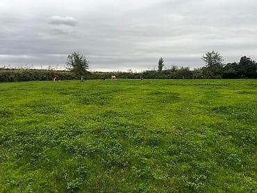 köhne: 4 otaqlı, 192 kv. m, Kredit yoxdur, Orta təmir — 8