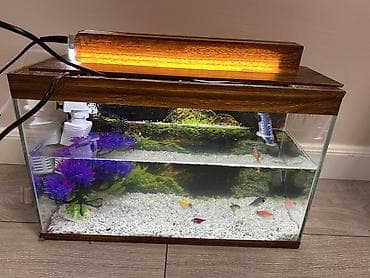 syomqa baliq: Akvaryum dəsti – şüşə korpus və taxta görünümlü üst örtük ilə - Ölçü — 2