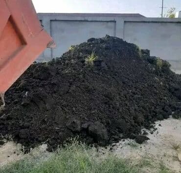 наливной пол баку: Qara Torpaq Və Peyin Torpaq Satışı: Kənd təsərrüfatı, bağçılıq və ya — 2