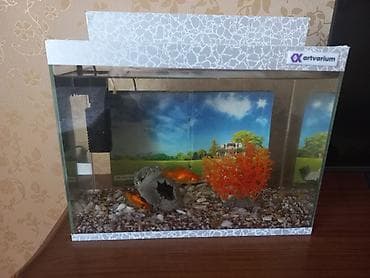 Птицы: Akvaryum dəsti – Artvarium - Şüşə akvaryum, üst və alt dekorativ — 6