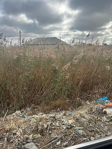 razinde satilan torpaqlar: 5 sot, Tikinti, Mülkiyyətçi, Bələdiyyə — 6