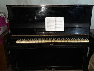 Piano, Belarus, Akustik