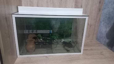 Dördbucaq akvarium, Boş, 135 l, Ünvandan götürmə