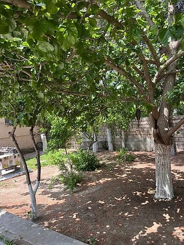 satdig evler: 22 sot, Tikinti, Mülkiyyətçi, Kupça (Çıxarış) — 1