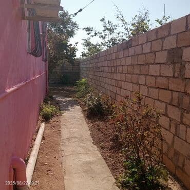 yaşıl dərə həyət evləri: 1 otaqlı həyət evi – bağ sahəsi ilə - Giriş: Həyətyanı sahəyə açılan — 9