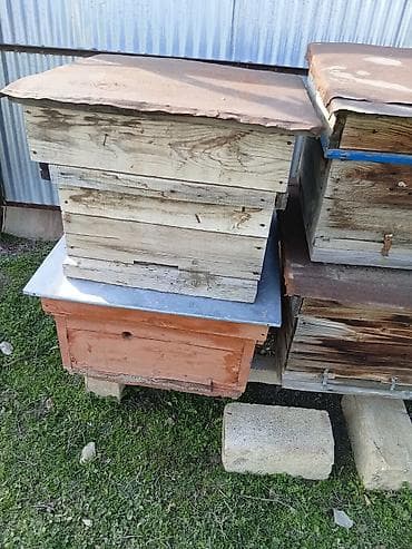 Digər heyvanlar: Arıçılıq üçün taxta arı pətəkləri - Material: qalın taxtadan yığılmış — 2