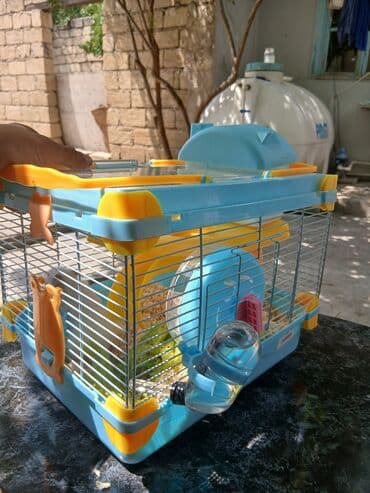 клетки для хомяков в баку: Hamsterlər üçün nəzərdə tutulmuş qəfəs, heyvanların təhlükəsiz və — 2