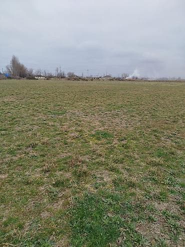 bine atciliq ev satilir: Kənd təsərrüfatı — 3