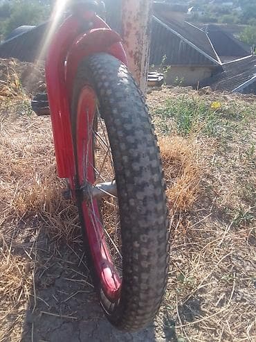 zigzag velosiped: Uşaq velosipedi – qırmızı rəngdə, tək sürətlidir. Xüsusiyyətlər: - 16 — 2