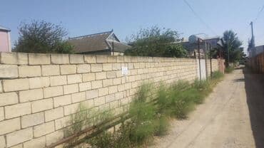 sabuncuda ev: 6 sot, Kənd təsərrüfatı, Mülkiyyətçi, Kupça (Çıxarış) — 5