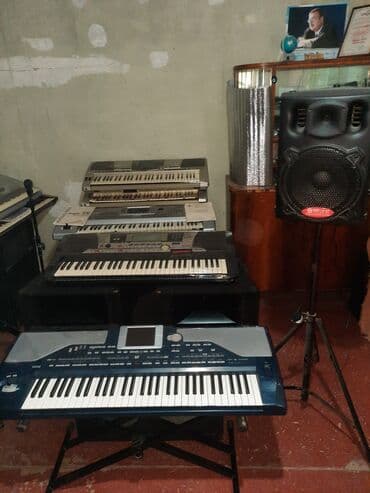 korg pa: Sintezator, Korg, Ünvandan götürmə — 10