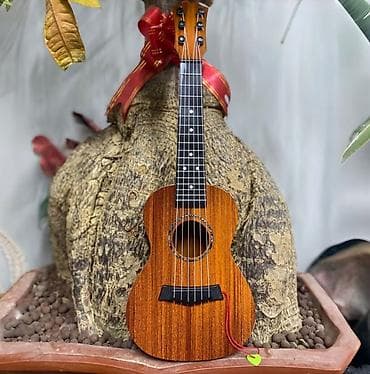 Ukulele, Pulsuz çatdırılma lalafo.az -da Ukulele, Pulsuz çatdırılma