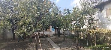 tal satışı: 3 otaqlı, 40 kv. m — 2