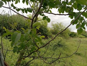 bineqedi rayonu resulzade qesebesi: 6 sot, Tikinti, Mülkiyyətçi, Kupça (Çıxarış) — 10