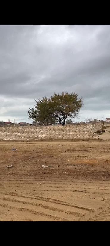 qusar a frame: 6 sot, Tikinti, Mülkiyyətçi, Kupça (Çıxarış), Texniki pasport — 3