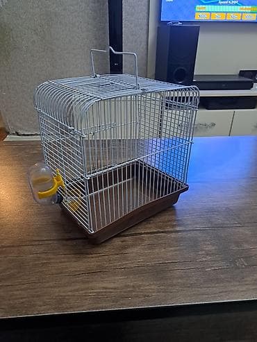 Qəfəs xamiaq qəfəsodir — 1