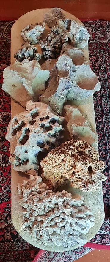 akvarium filterleri: Akvaryum komplekti - Şüşə akvaryum: düzbucaqlı forma, qara üst və alt — 5