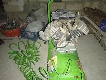 Комнатные растения: Воздуходувки — 5